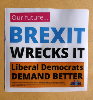 Slough Lib Dems campaign for the People's Vote on Brexit