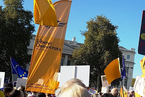 Some of the Lib Dems on People's Vote march Oct 2018