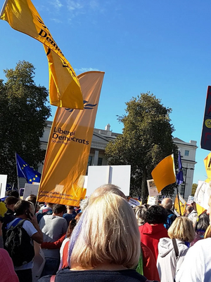 Some of the Lib Dems on People's Vote march Oct 2018